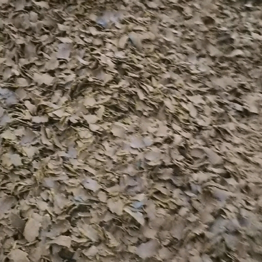 郓城县你好，我是山东菏泽明扬油厂的，销售纯真棉籽饼，质量稳定，
