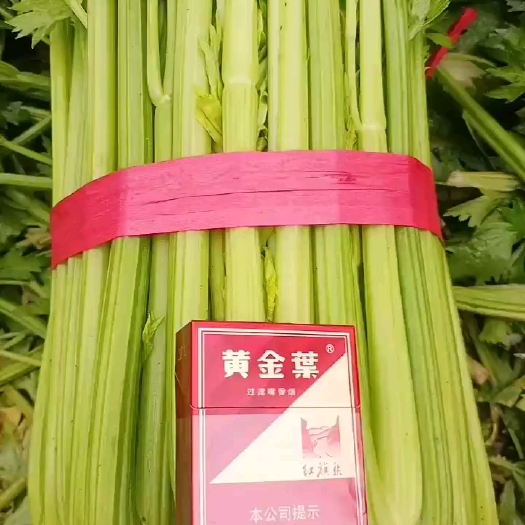 滑县带叶西芹