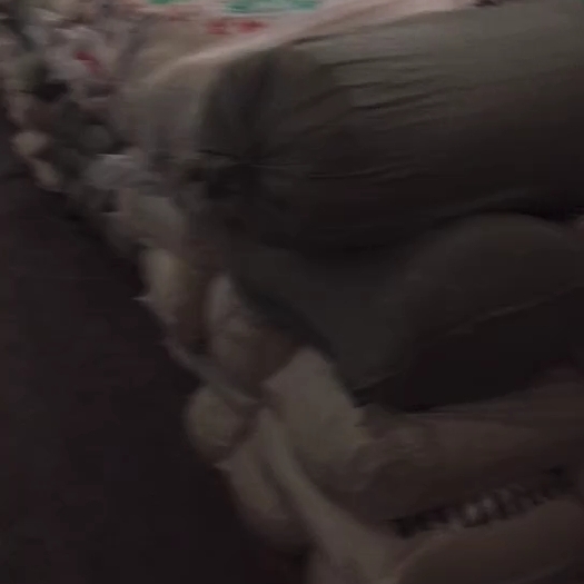 江苏豆渣豆腐渣发酵豆渣
