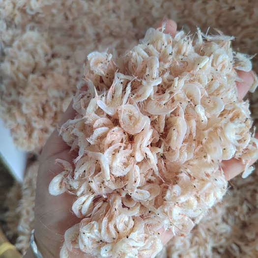 滨州淡干无盐虾皮