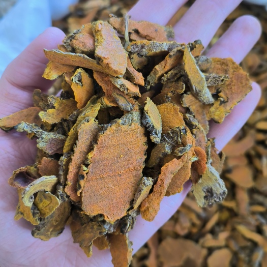 鄄城县【永发药业】姜黄色姜黄 手机实物拍摄 欢迎选购