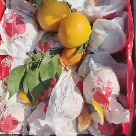 邯郸耙耙柑大量有货70-80有货，果面干净，套袋的纯甜口，