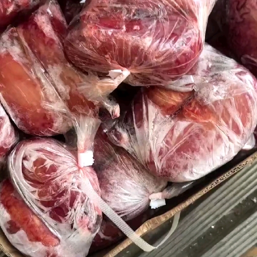 阳信县国产精修大牛宝，精修度高，质量保证