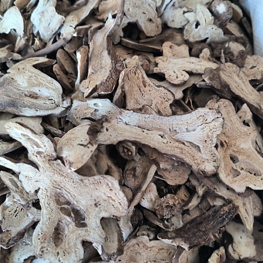 鄄城县白术产地安徽无硫白术大片麸炒白术量大从优欢迎选购