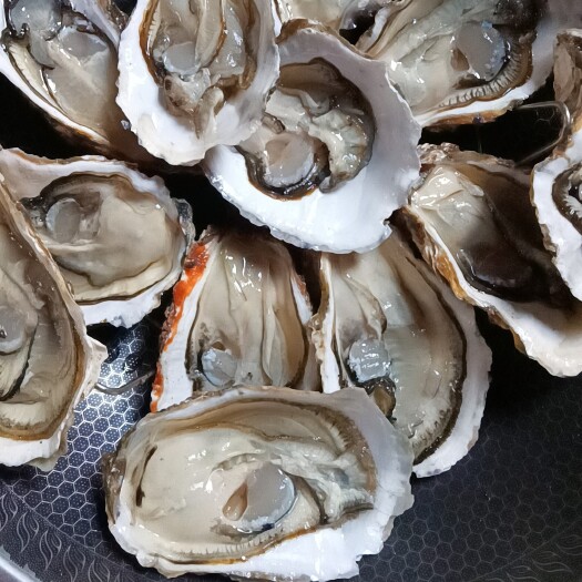 诏安县福建富硒海产生蚝