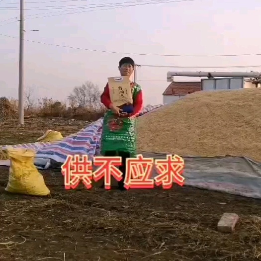 天津富硒米