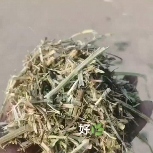 运城花生秧草粉草段