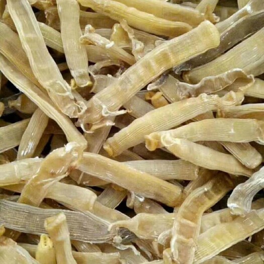 东山县沙虫干，新货，营养价值高，又被称为《海洋虫草》的美誉。