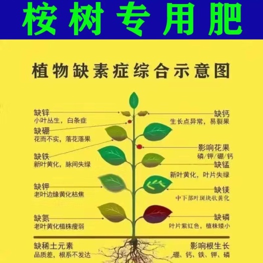 隆安县#季桉各位老板有需要的赶紧下单还有些库存价格美丽