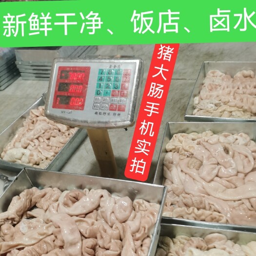 新鲜干净猪大肠肥肠供应批发，饭店，卤水，烧烤