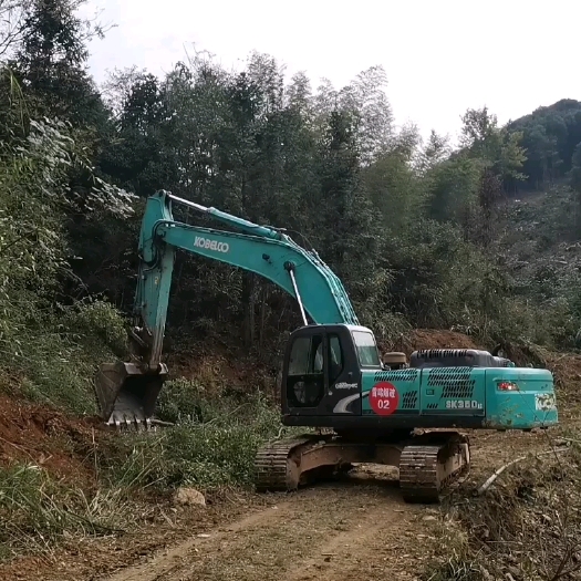 临湘市竹子