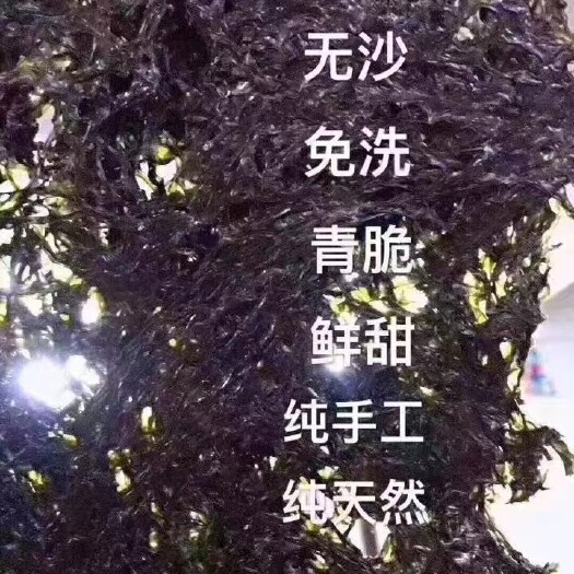 饶平县头水紫菜