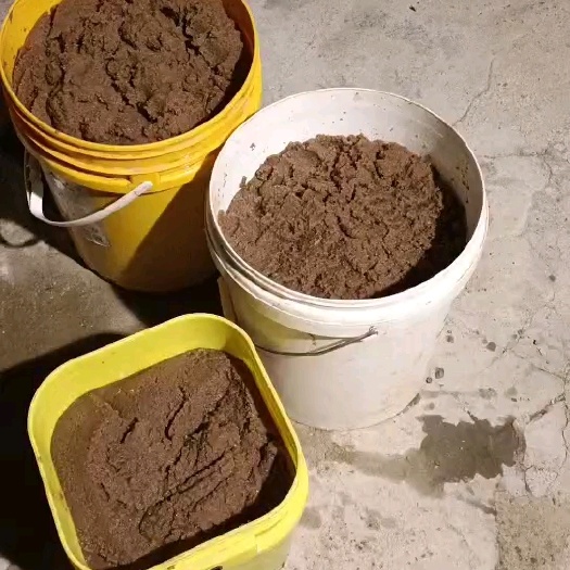 珠海干水蛛水蚤