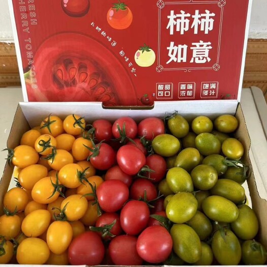 寿光市圣女果贝贝，迷恋，千禧，青口