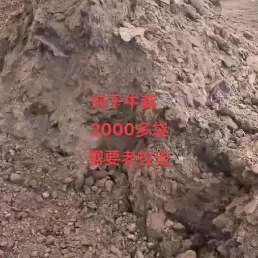 楚雄市牛粪