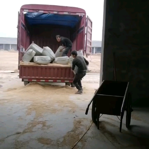 当阳市压缩稻壳