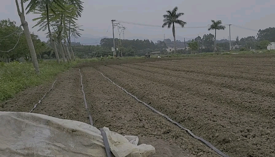 漳州角美 耕地 靠大路浇水系统完备。