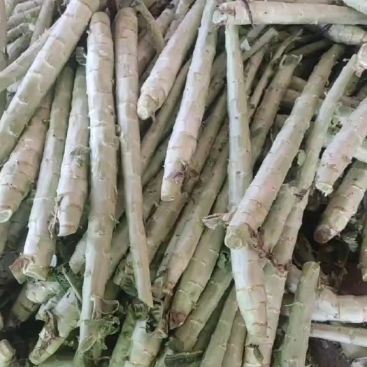 兰陵县大量供应优质莴笋杆子