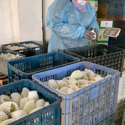 库车市香梨te级，一级混装/65元，二级/35元