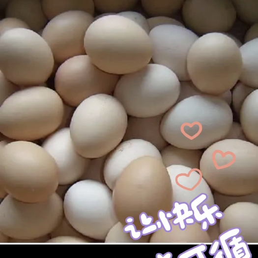长沙农家土鸡蛋