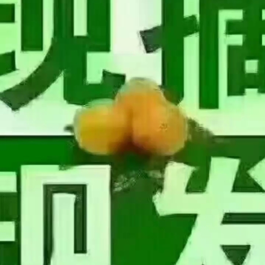 麻阳县湖南麻阳冰糖橙