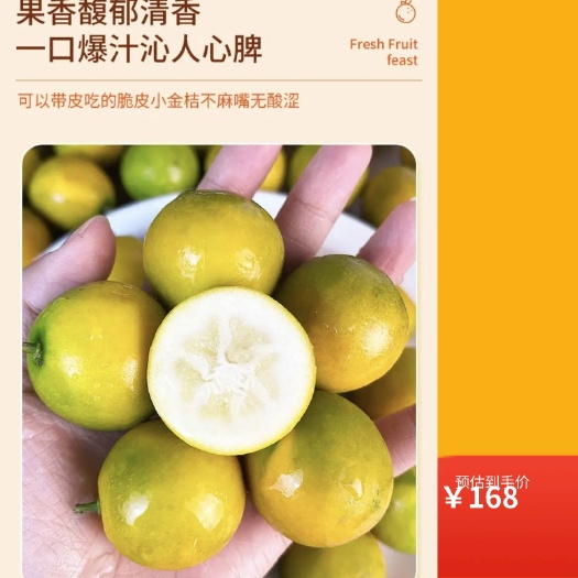 德昌县大凉山纯甜金桔