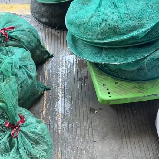 宝应县江苏大闸蟹