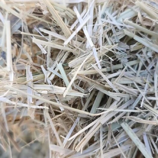 天津大白包铡断稻草，粉碎除尘