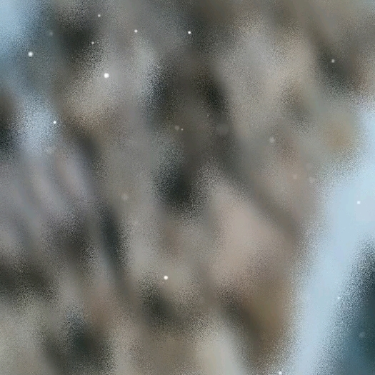 绵阳新鲜平菇