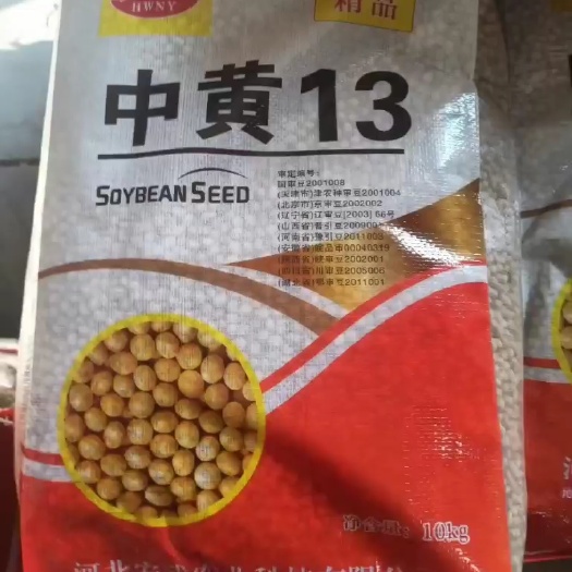 永清县大豆种子 中黄13 冀豆12 沧豆13