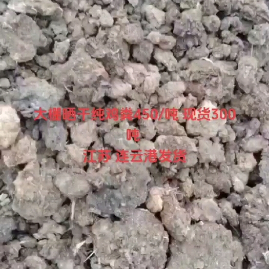 灌云县大棚晒干纯鸡粪450/吨 现货300吨 ​江苏 连云港发货