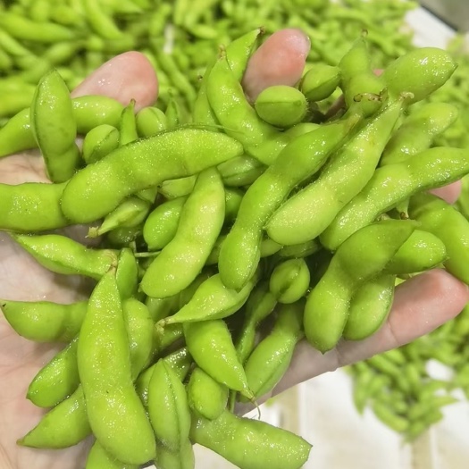 漳州毛豆