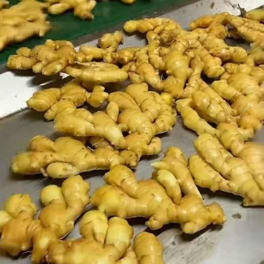 生姜产地批发，货源充足，质量好3