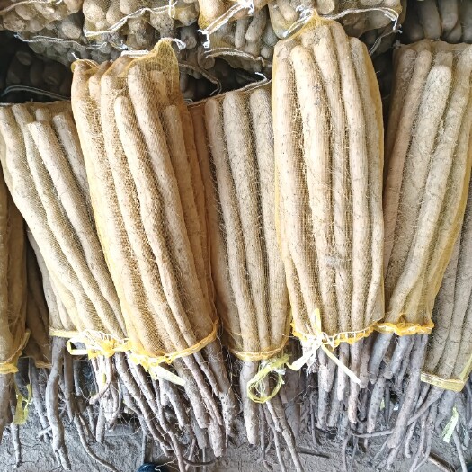 大名县白玉网代货