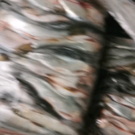 贺州新鲜