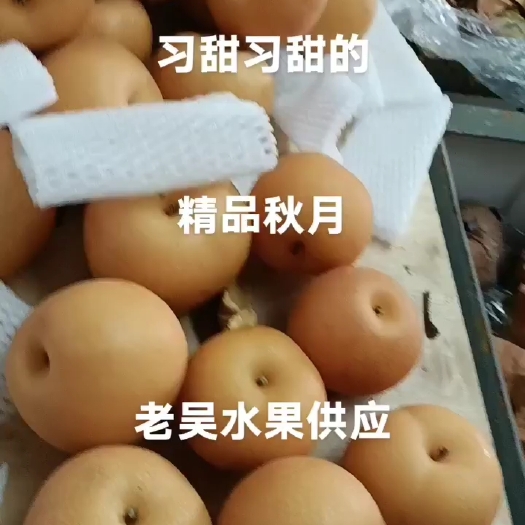 精品秋月梨