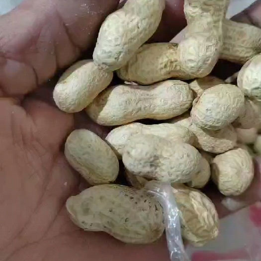 嘉祥县小日本蒜香核桃味花生