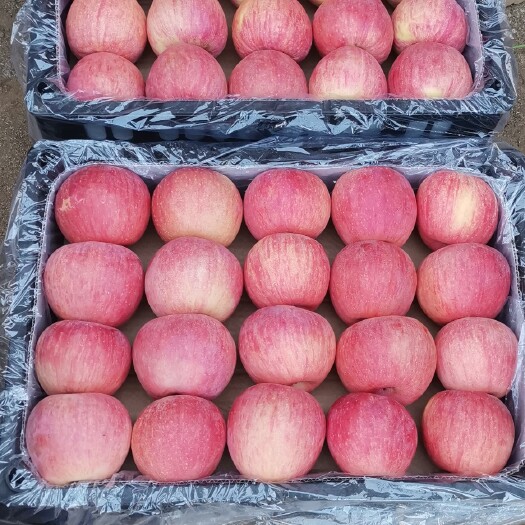 绥中县绥中寒富