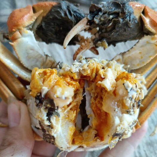当涂县大闸蟹
