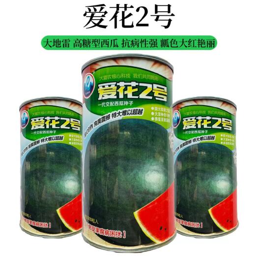 浪潮爱花二号西瓜种子墨绿皮隐条带,抗病性强大面积种植西瓜