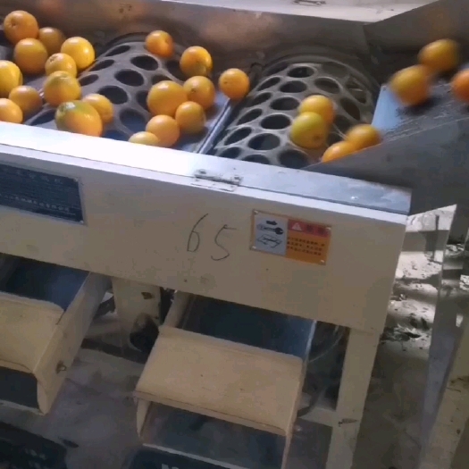 保靖县纽荷尔脐橙