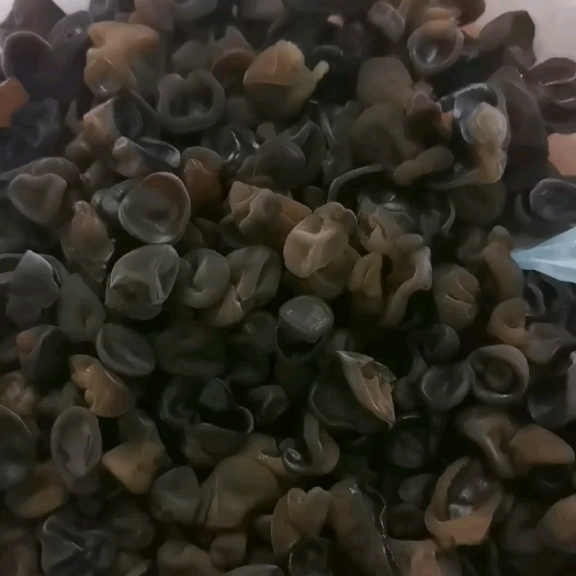 吉林市精品秋耳芽 做汤 包馅专用