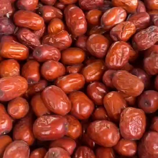 贵阳小枣，灰枣