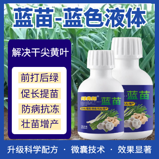民权县蓝苗生物菌绿叶防冻防病可用大蒜大葱大姜防病黄叶干尖叶枯