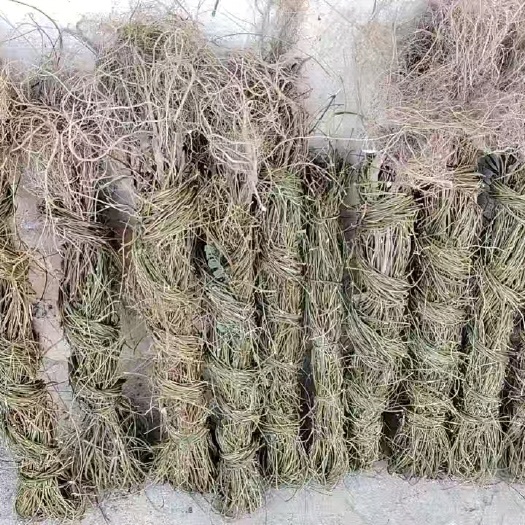 钟山县广西贺州钟山原产地直销，鸡骨草，今年的新货