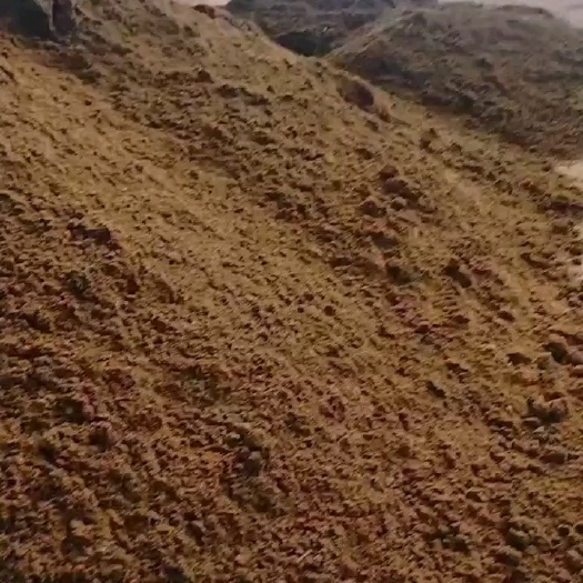 英德市植物营养有机肥纯牛粪，牛场直接发货
