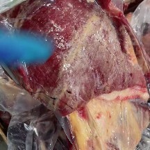 锡林浩特牛腩五斤包
