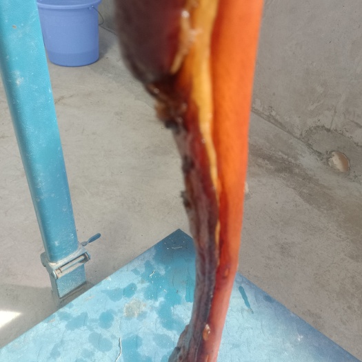 岷县农家养植熏猎访腊肉