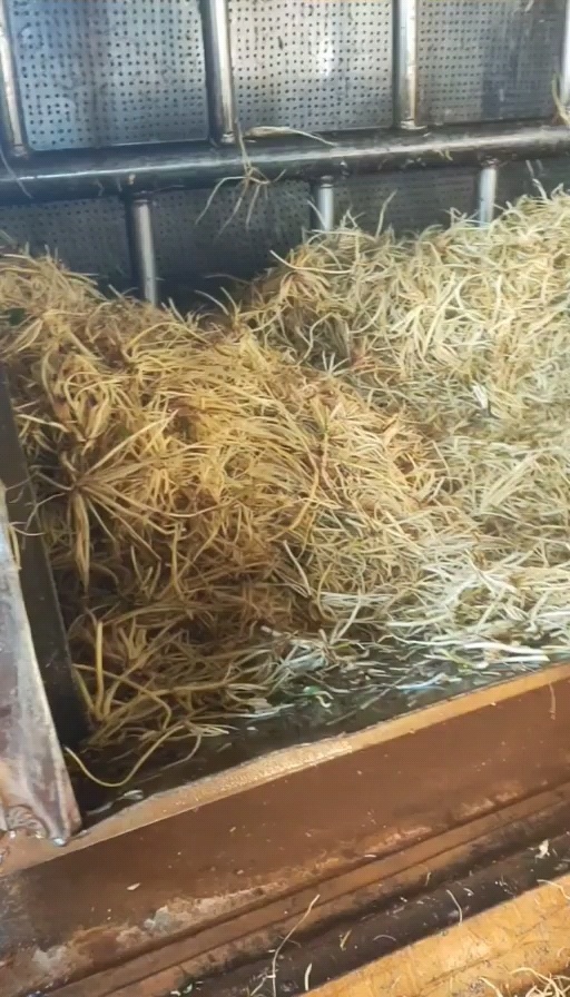 文山市龙胆须根 水洗货