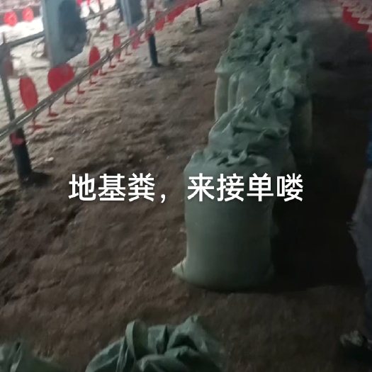 寻甸县鸡粪